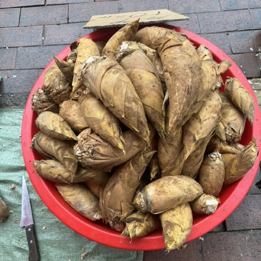 长沙县东笋批发