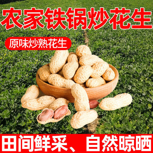 东北小日本花生珍珠小花生柴火铁锅炒珍珠小花生今年新花生包邮