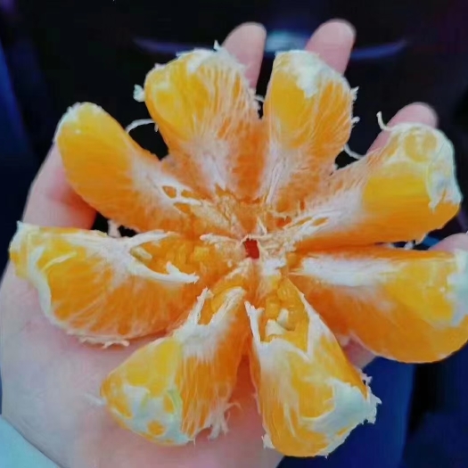 荣县纯甜华渣