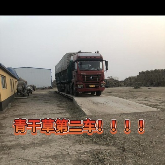 黄骅市青干草今天第二车走货！！！