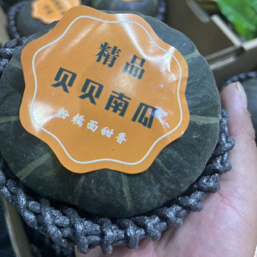 保山贝贝南瓜