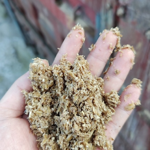 贵阳啤酒糟