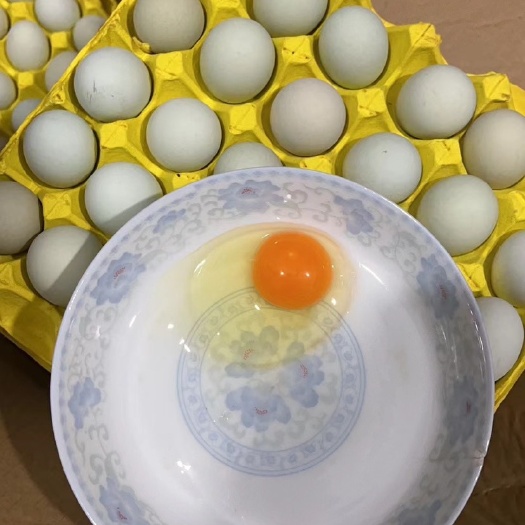 南昌土蛋批发