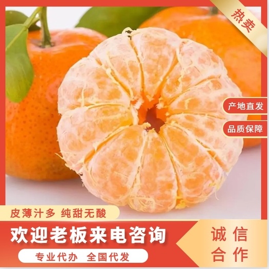 荔浦市广西砂糖橘，产地直采，代办代发，保质保量，可接外贸