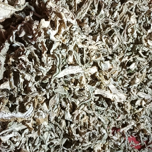博爱县仙人掌干片仙人掌干条仙人掌茶中药材仙人掌干品自然晒干无硫制作