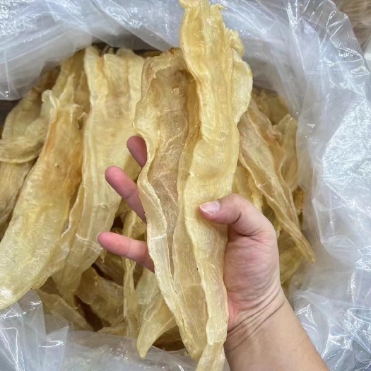 东山县小敏鱼胶 大鳘鱼胶 批发