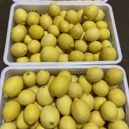 安岳县安岳柠檬