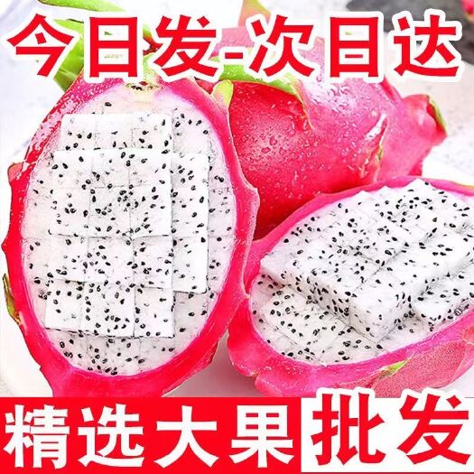 上林县【批发价】白心火龙果整箱包邮应季新鲜水果直供超甜