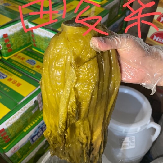 重庆市酸菜 芥菜