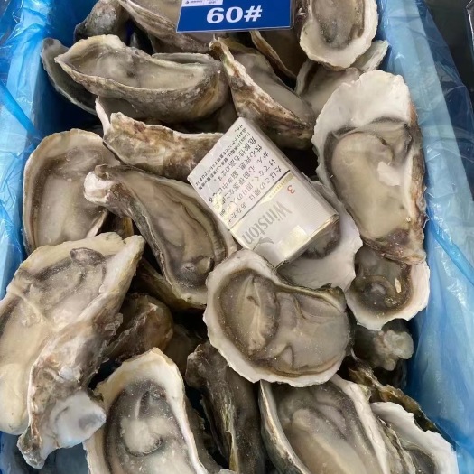 东山县原浆半壳生蚝
