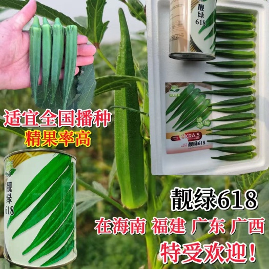 宿迁水果秋葵种子靓绿618杂交一代早熟水果秋葵种子