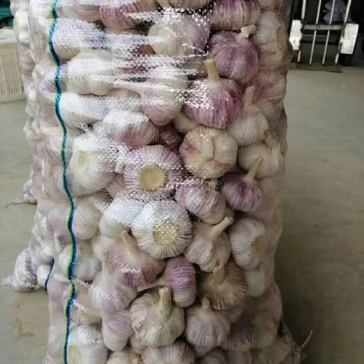 金乡县质量好，价格低。