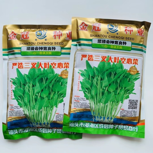 宿迁严选三叉空心菜种子   青梗大叶空心菜种子