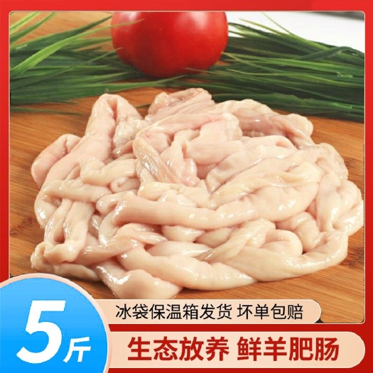 温岭市新鲜生羊肠羊肥肠拐肠批发羊肥肠羊大肠5斤10斤装冷冻羊肠包邮