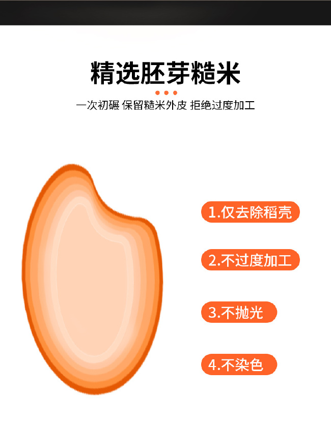 红米红米杂粮农家红大米新米月子红米饭红糙米煮粥血红香米红稻米