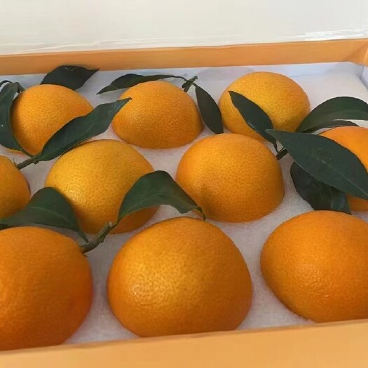 象山县象山红美人