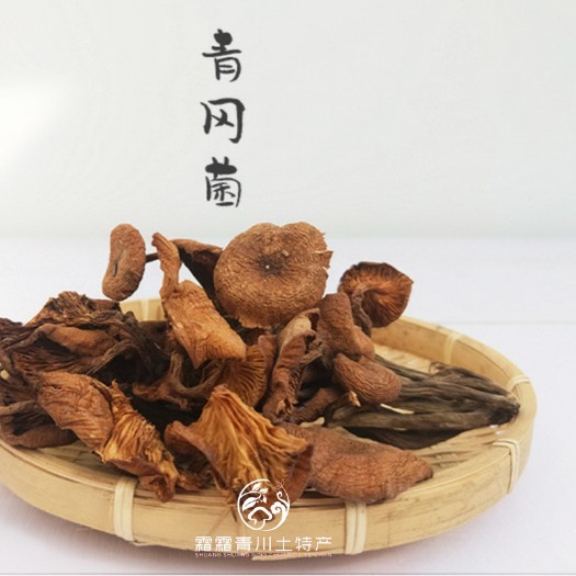 广元青杠菌茶树菇