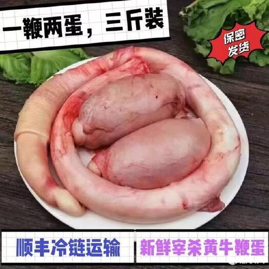 西平县新鲜牛鞭整只全套牛三宝农家新鲜牛鞭现杀黄牛鞭鲜牛宝整套牛鞭