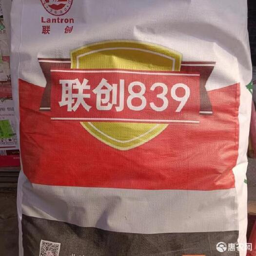 宜川县抗病扛倒​稀植密植​免锈病的​高产量的免化控的各种