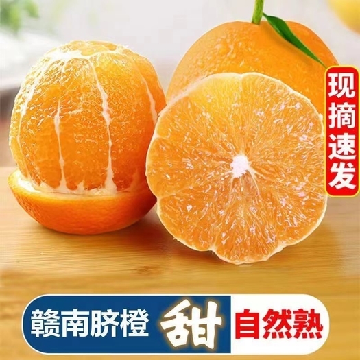 赣南脐橙 现摘现发新鲜果实新鲜到家  量大价优