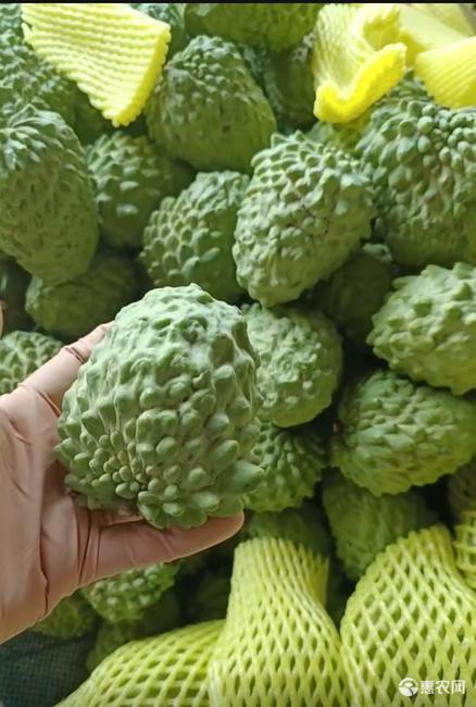 牛奶新鲜释迦果5斤当季热带水果大果番荔枝释迦佛头果1斤非