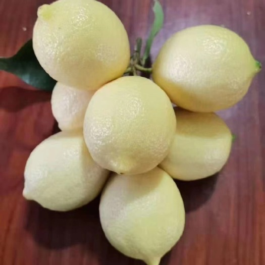 长阳县柠檬批发