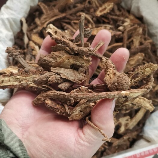 玉林【羌活】中药材新货姜活蚕羌片竹节羌大头羌四川羌活