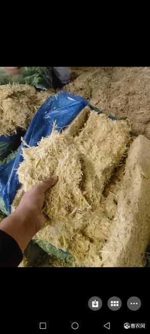 弥勒市甘蔗渣青储饲料