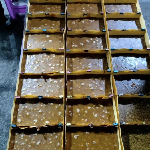 珙县手工纯红糖