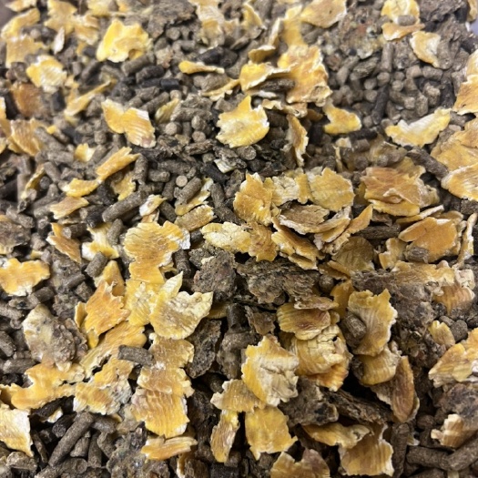 昌黎县母牛母羊精补料