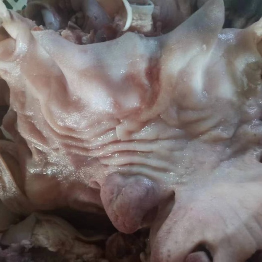 水退羊头肉