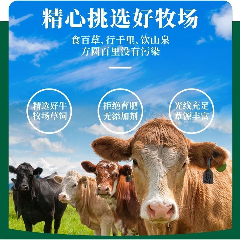 新鲜原切牛腱子肉农家散养黄牛肉牛腿腱子肉小牛腱子里脊肉牛腿肉