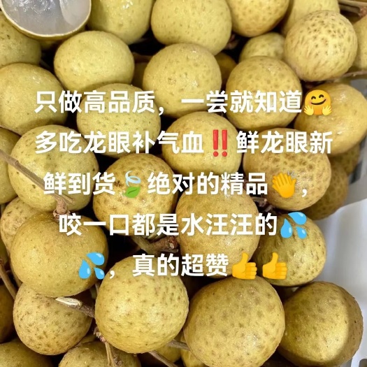 宜川县桂圆