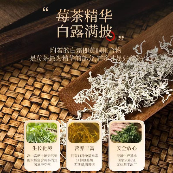 一级芽尖莓茶