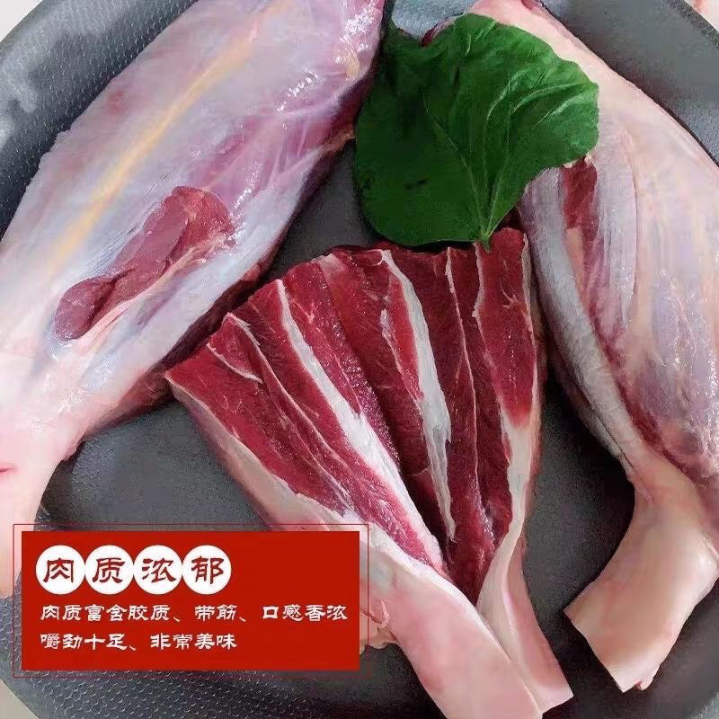 新鲜原切牛腱子肉农家散养黄牛肉牛腿腱子肉小牛腱子里脊肉牛腿肉