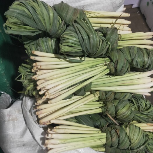 藤县香茅草，柠檬草