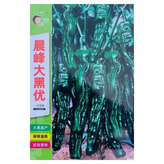 沭阳县精品大果黑优皱皮辣椒种子皮薄质脆辣味香浓大黑绿皮马嘴型辣椒孑