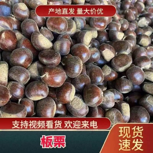 【2024新货】新鲜迁西老树板栗批发价 糖炒