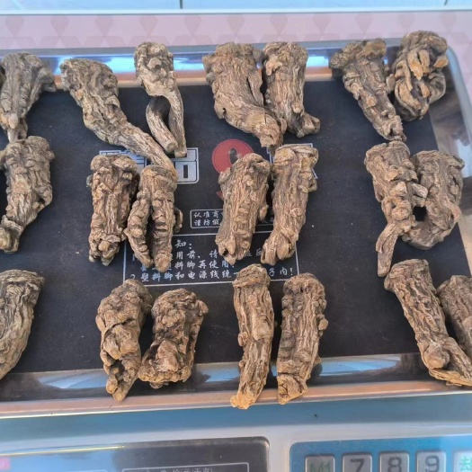 临洮县无硫蜕皮当归头，脱皮当归头（纯干）