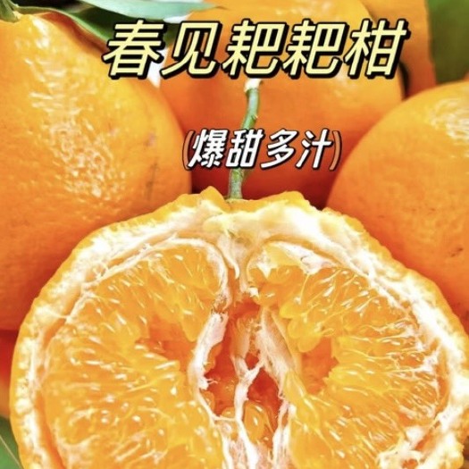 蒲江县【新鲜水果 坏果包赔】丑橘四川蒲江甜蜜春见耙耙柑5斤/10斤