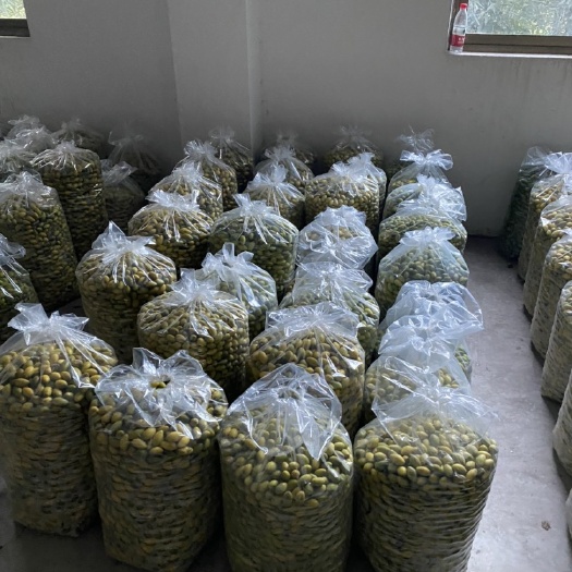 合江县橄榄
