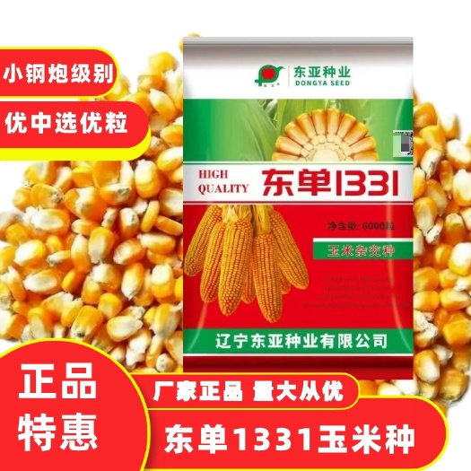 正品东单1331玉米种6000粒包装大粒小钢炮级别
