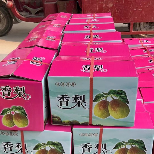 赵县库尔勒香梨。