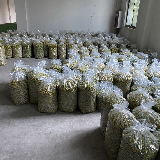 合江县四川青橄榄 量大有现货 关系电话了解