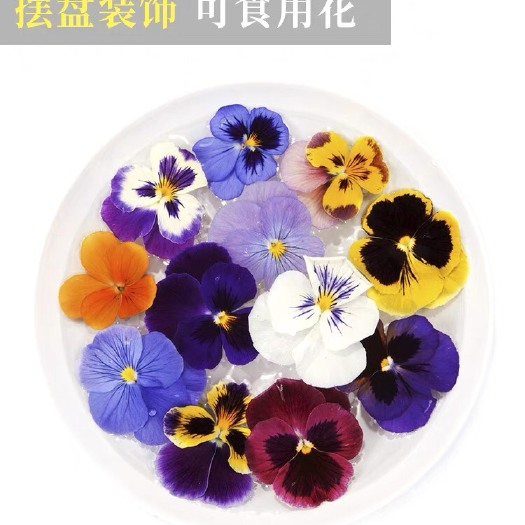 广州酒店蛋糕店烘培店饮品等摆盘各种装饰花草！