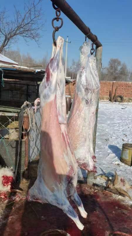 凉城县羊肉