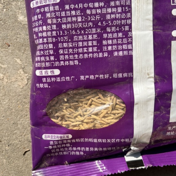 黄华占水稻种子 中稻虾稻谷种 常规种 饭好吃产量高优质水稻