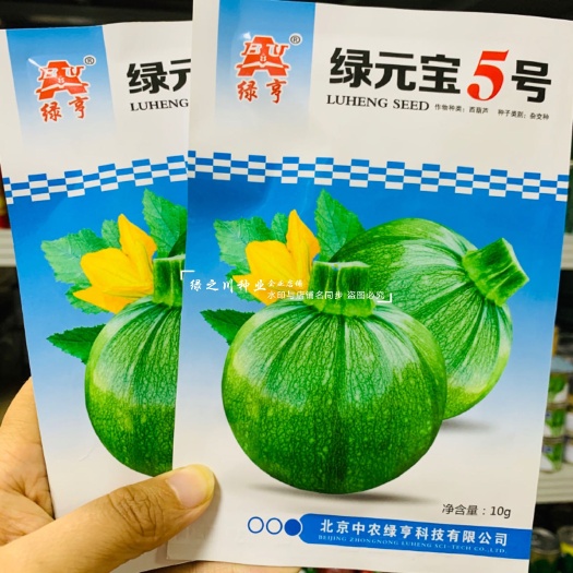 沭阳县绿元宝5号小瓜种子新育成南美嫩南瓜种子圆形无蔓西葫芦种子早熟