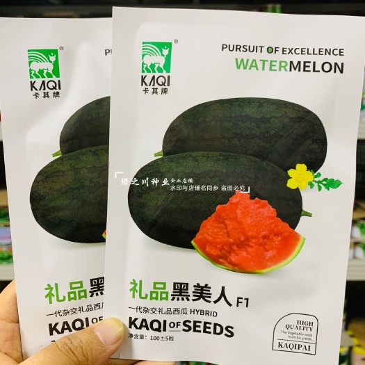 沭阳县黑美人西瓜种子 超甜礼品西瓜墨绿皮红肉西瓜种籽皮薄糖度达14