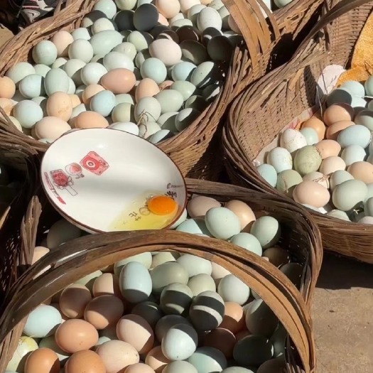 京山市420枚净重33斤高山生态散养土鸡，土鸡蛋